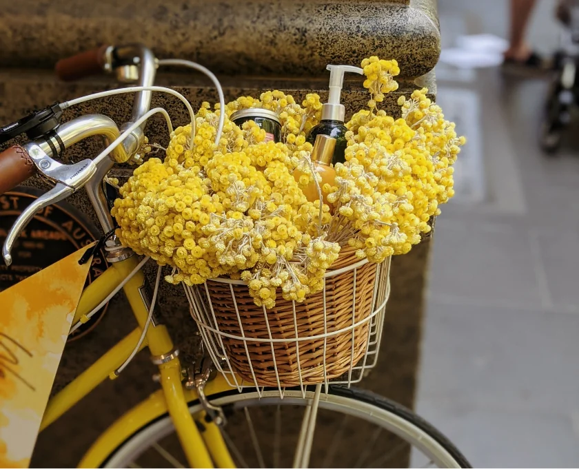 post-img-6_optimized