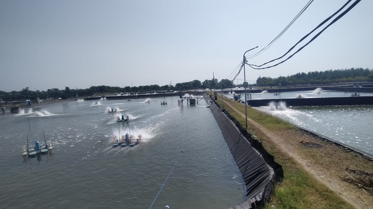 WhatsApp Image 2025-06-24 at 13.51.06_7f180b88